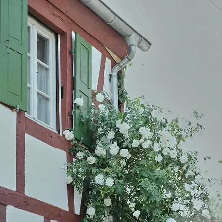 Wagner * Bernkastel-Kues