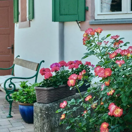 Wagner Dom wakacyjny Bernkastel-Kues