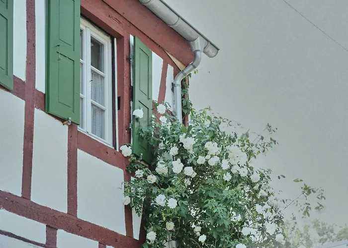 Wagner * 베른카슈텔쿠에스