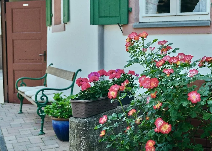 Wagner Feriehus Bernkastel-Kues